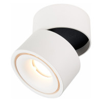 ST LUCE ST652.542.12 Светильник потолочный Белый LED 1*12W 4000K 1 000Lm Ra>90 36° IP20 D100xH105 170-240VV