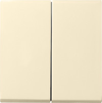 029501 Gira Клавиша двойная