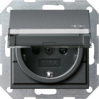 276228 Gira Вставка розетки с крышкой, с затвором (shutter) и символом  и полем для надписи