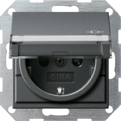 276228 Gira Вставка розетки с крышкой, с затвором (shutter) и символом  и полем для надписи