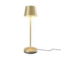 Аккумуляторный светильник Maytoni MOD494RL-L1BSK