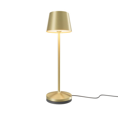 Аккумуляторный светильник Maytoni MOD494RL-L1BSK