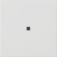 536827 Gira Накладка управления System 3000 BT