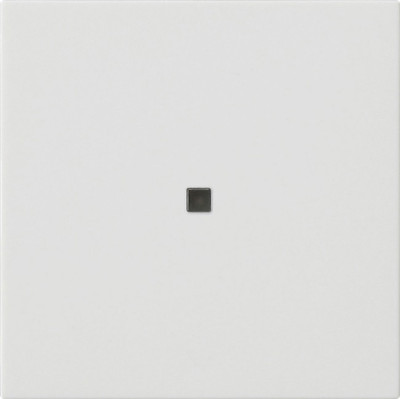 536827 Gira Накладка управления System 3000 BT