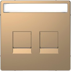 D-Life Накладка для 2-мод. разъемов, шампань