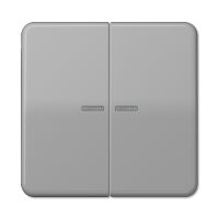 Клавиша для KNX кнопки, 2 группы с окошком; дюропласт; серый, CD102KO5GR