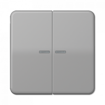 Клавиша для KNX кнопки, 2 группы с окошком; дюропласт; серый, CD102KO5GR