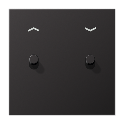 Центральная плата, 1 пост, 2 тумблера,цилиндр; металлическое исполнение; Dark; серия LS, AL12-5PDR01