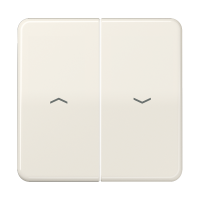 Клавиши для выключателя управления жалюзи 509VU и кнопки 539VU; слоновая кость, CD595P