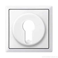 SD  Накладка для выключателя, управл. ключом, арт.№SCMTN318601, бел.