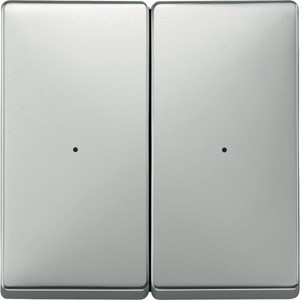 SD, КЛАВИША ДЛЯ МОДУЛЯ 2 КН. ВЫК, СТАЛЬ