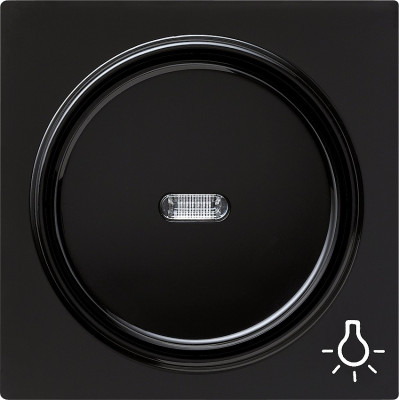 028547 Gira Клавиша с пиктограммой "свет"