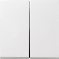 029503 Gira Клавиша двойная