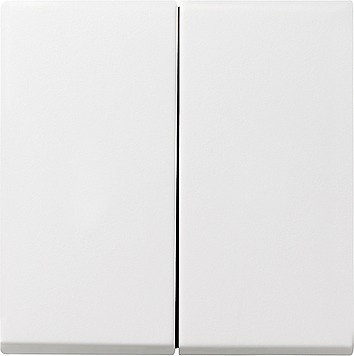 029503 Gira Клавиша двойная