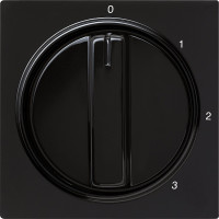 066947 Gira Накладка с ручкой для трехступенчатого переключателя