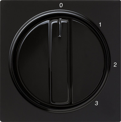 066947 Gira Накладка с ручкой для трехступенчатого переключателя