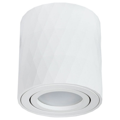 Arte Lamp FANG, Светильник потолочный, цвет арматуры - белый, 1x50W GU10, A5559PL-1WH