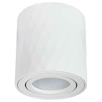 Arte Lamp FANG, Светильник потолочный, цвет арматуры - белый, 1x50W GU10, A5559PL-1WH