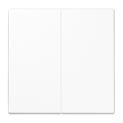 Двойная клавиша для балансирных механизмов выключателей (кнопок), в комплекте с CD95HP (крепежный элемент), возможно IP44; дюропласт; белый; LS990, LS995WW