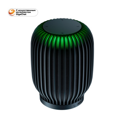 Акустическая система серии SberBoom модели SBDV-00090, цвет черный, торговой марки SBER