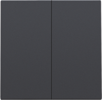 Niko Home Control Антрацит Клавиша двойная NHC, 122-31004
