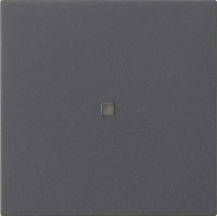 536828 Gira Накладка управления System 3000 BT