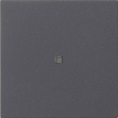 536828 Gira Накладка управления System 3000 BT