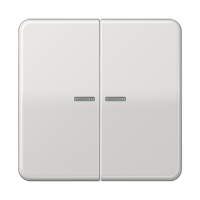 Клавиша для KNX кнопки, 2 группы с окошком; дюропласт; светло-серый, CD102KO5LG