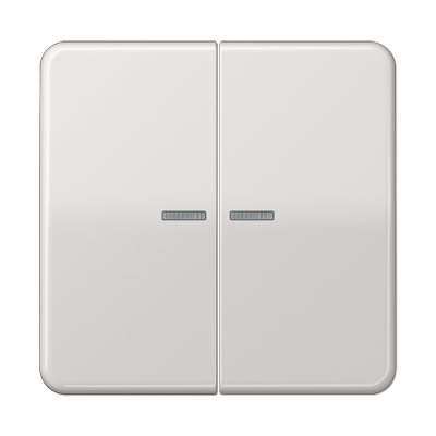 Клавиша для KNX кнопки, 2 группы с окошком; дюропласт; светло-серый, CD102KO5LG