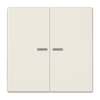 Клавиша для KNX кнопки, 2 группы, с окошком; дюропласт; слоновая кость, LS102KO5