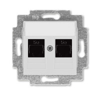 5014H-A51018 16W - Розетка информационная ABB Levit двойная 2хRJ45 категория 5e серый - 2CHH295118A6016