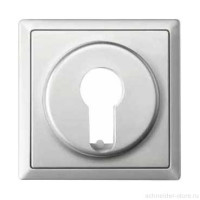 SD  Накладка для выключателя, управл. ключом, арт.№SCMTN318601, стальн.