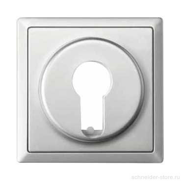 SD  Накладка для выключателя, управл. ключом, арт.№SCMTN318601, стальн.