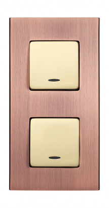Fede Блок: Выключатель 1-клавишный + Выключатель 1-клавишный, цвет Bright Gold - Brushed Copper, серия Soho