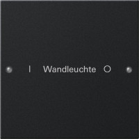 2201005 Gira Набор клавиш 1-клав.,  ГРАВИРОВКА