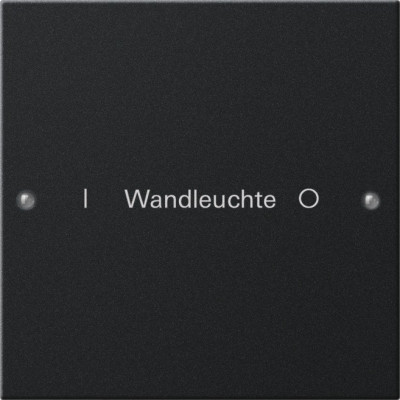 2201005 Gira Набор клавиш 1-клав.,  ГРАВИРОВКА