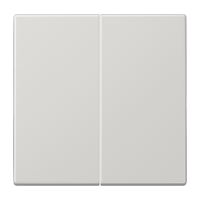 Двойная клавиша для балансирных механизмов выключателей (кнопок), в комплекте с CD95HP (крепежный элемент), возможно IP44; дюропласт; светло-серый; LS990, LS995LG