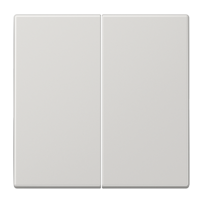 Двойная клавиша для балансирных механизмов выключателей (кнопок), в комплекте с CD95HP (крепежный элемент), возможно IP44; дюропласт; светло-серый; LS990, LS995LG