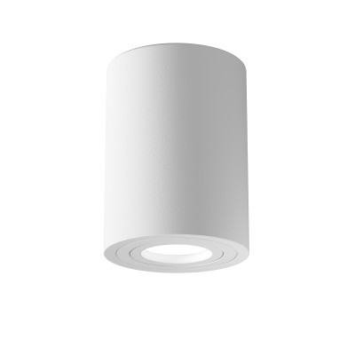 Maytoni Потолочный светильник Atom GU10 1x50Вт, C016CL-01W