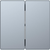 D-Life Клавиша 2-ная, нерж. сталь