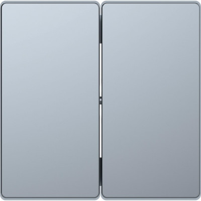 D-Life Клавиша 2-ная, нерж. сталь