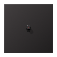 Центральная плата, 1 пост, 1 тумблер, цилиндр c окошком; металл; Dark; серия LS, AL12-0KODR01