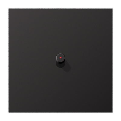 Центральная плата, 1 пост, 1 тумблер, цилиндр c окошком; металл; Dark; серия LS, AL12-0KODR01