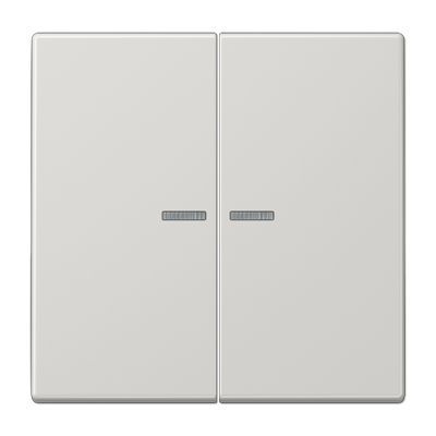 Клавиша для KNX кнопки, 2 группы, с окошком; дюропласт; светло-серый, LS102KO5LG