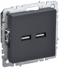 BRITE Роз. USB A+A 3,1А РЮ10-1-БрГ граф. IEK, BR-U21-D31-K53