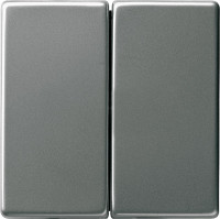 29520 - Gira Edelstahl Клавиша на 2 поста , скошенные края