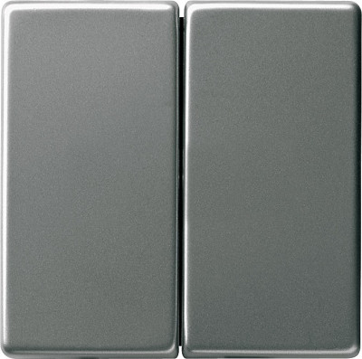 29520 - Gira Edelstahl Клавиша на 2 поста , скошенные края