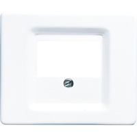 Крышка для ТАЕ гнезд; белая, SL569TWW Крышка для ТАЕ гнезд; белая, SL569TWW