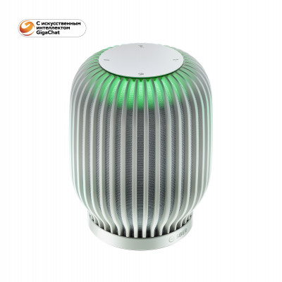 Акустическая система серии SberBoom модели SBDV-00090, цвет белый, торговой марки SBER