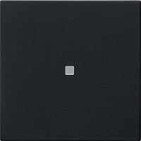 5368005 Gira Накладка управления System 3000 BT